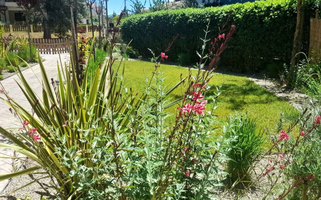 nikos house garden